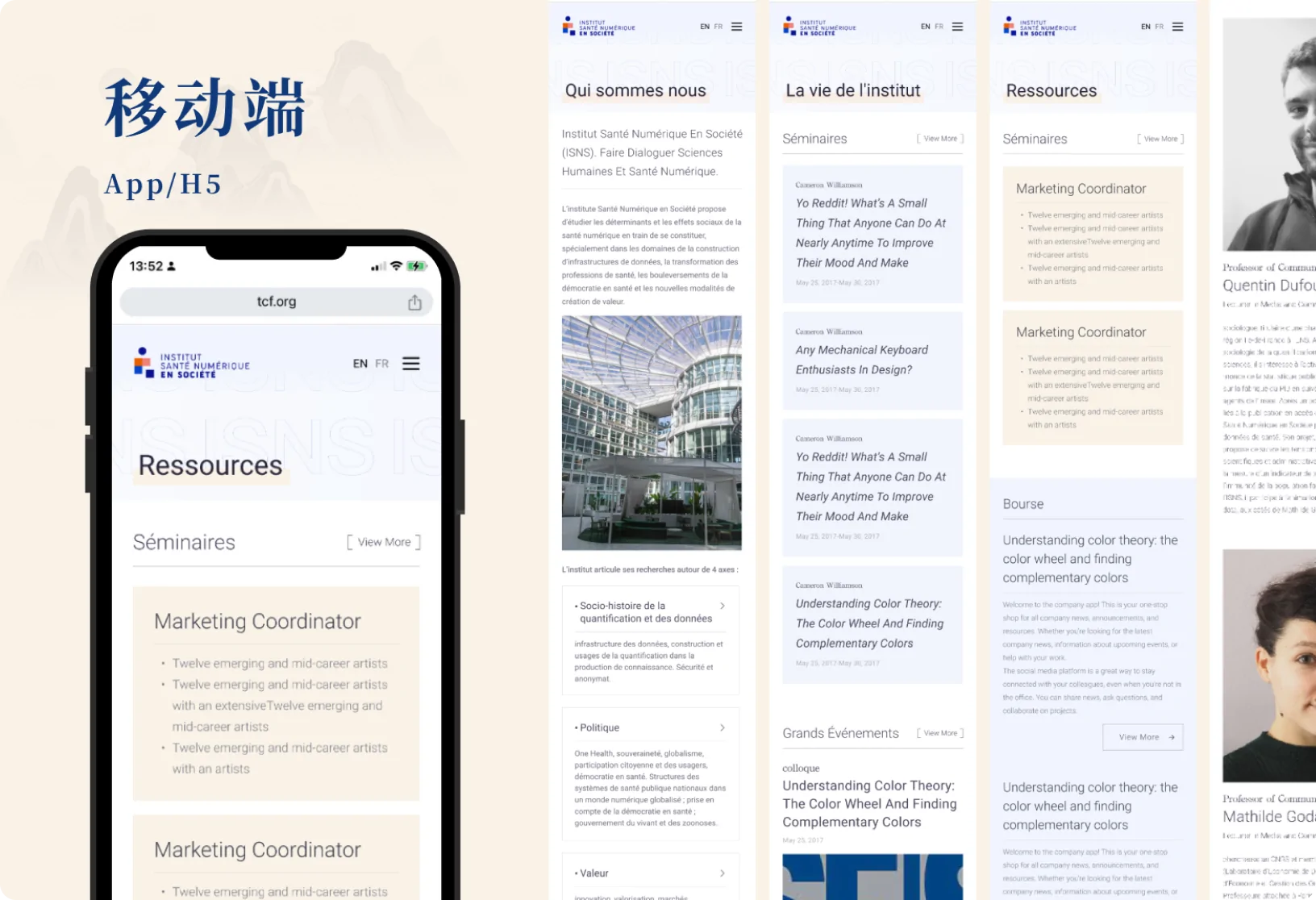 French Academic Institute website project